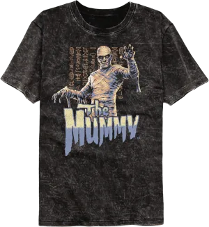 Hieroglyphs The Mummy Mineral Wash T-Shirt