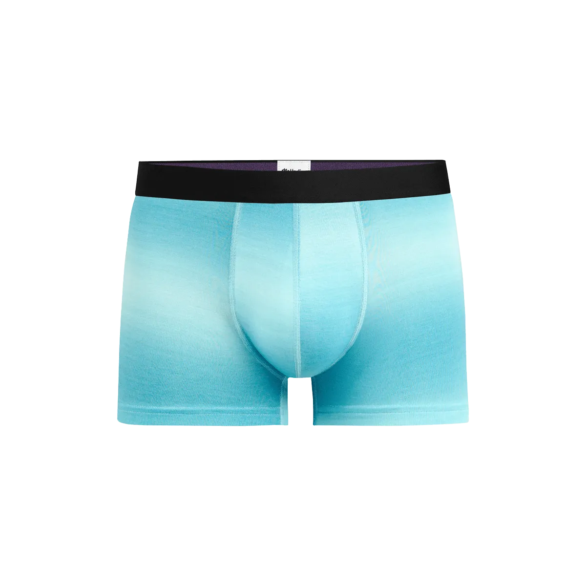 Trunk | Blue Ombre